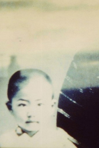 Movie poster for Shishōsetsu (1996)