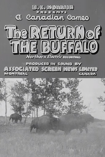 Movie poster for Return of the Buffalo (1938)