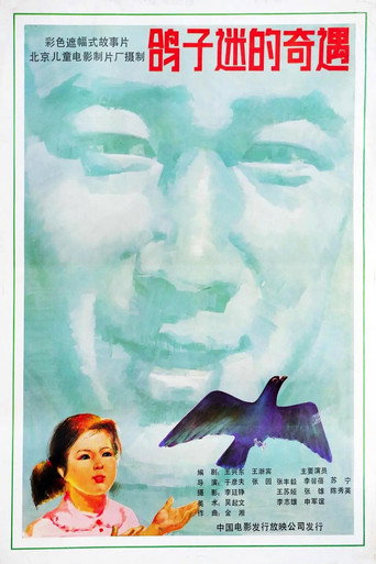 Movie poster for 鸽子迷的奇遇 (1987)
