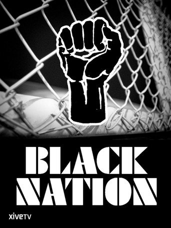 Movie poster for Black Nation (2008)