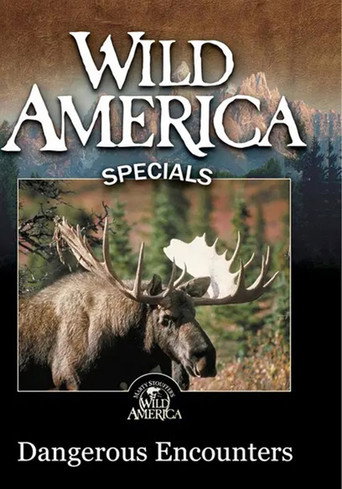 Movie poster for Wild America - Dangerous Encounters (2000)