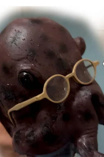 Movie poster for Nipple Hot Springs: The Octopus' Gratitude (2023)
