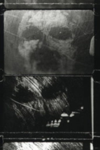 Movie poster for Face Caught in the Dark (1995)