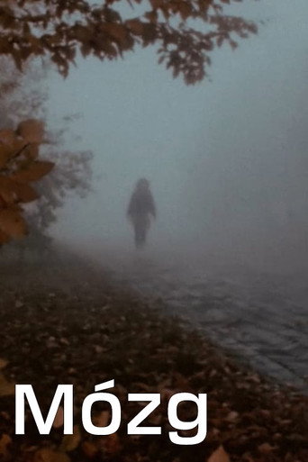 Movie poster for Mózg (1983)
