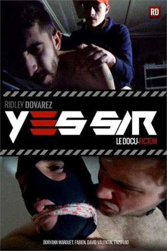 Movie poster for Yes Sir (2017)