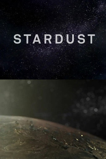 Movie poster for Stardust (2013)