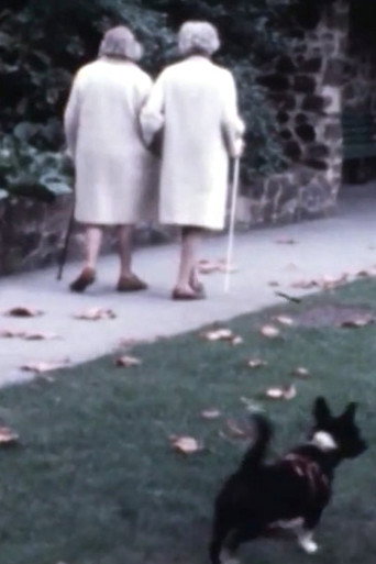 Movie poster for We Are All Alone My Dear (1977)