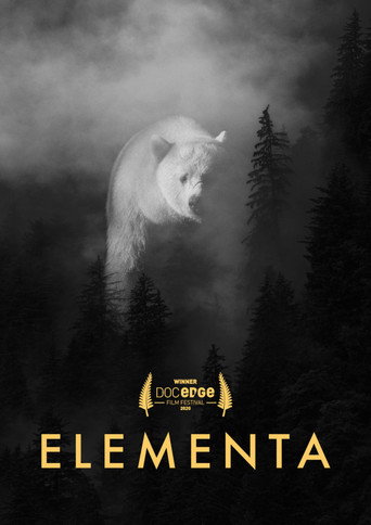 Movie poster for Elementa (2020)