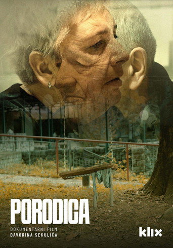 Movie poster for The Family (2024)