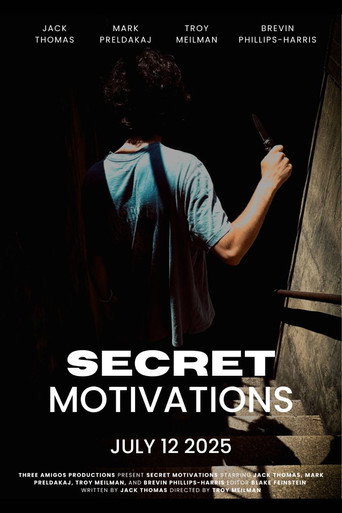Movie poster for Secret Motivations (2025)