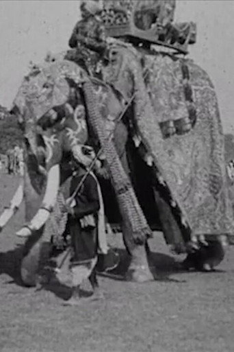 Movie poster for Calcutta Pageant (1912)