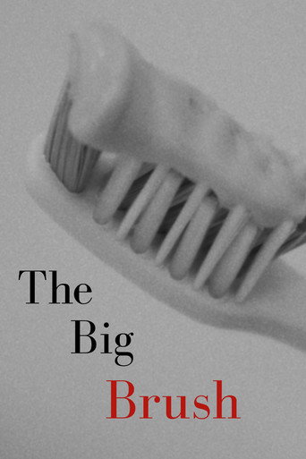 Movie poster for The Big Brush (2024)