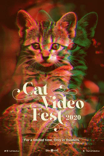 CatVideoFest 2020 poster