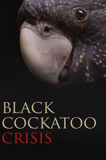 Movie poster for Black Cockatoo Crisis (2022)