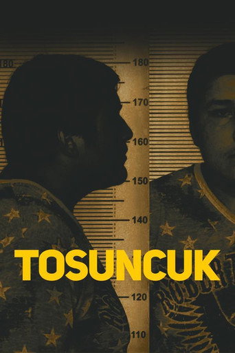 Tosuncuk poster