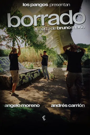 Borrado poster