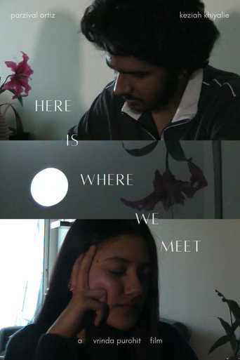 Movie poster for Here Is Where We Meet (2025)