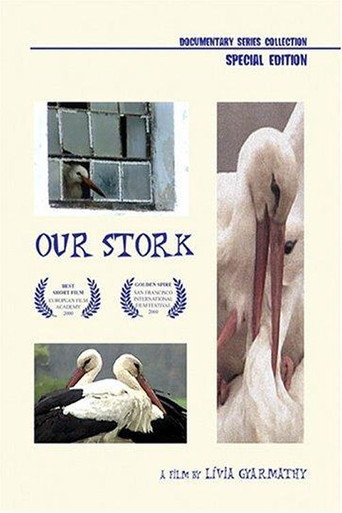 Movie poster for Our Stork (2000)