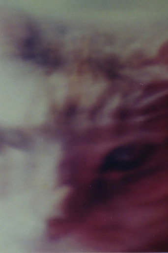 Movie poster for Two Cats (1999)