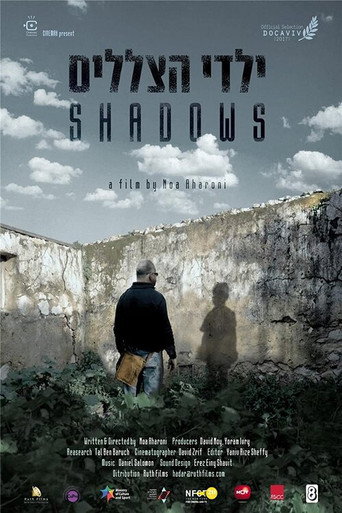 Movie poster for Shadows (2016)