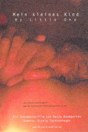 Movie poster for My Little One (2002)