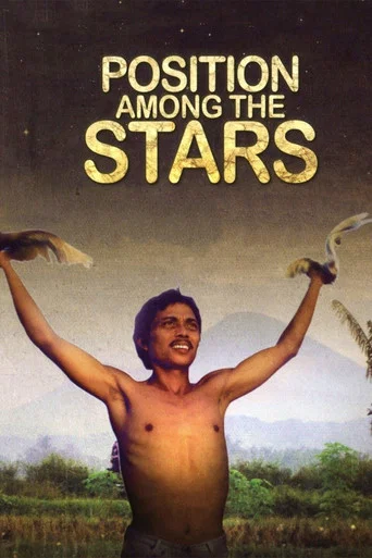 Movie poster for Position Among the Stars (2011)