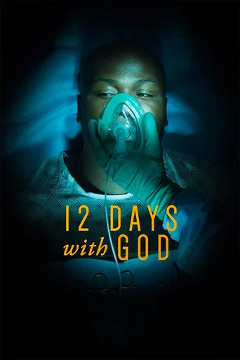 Movie poster for 12 Days with God (2019)