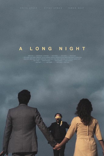 A Long Night poster