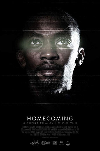 Movie poster for Homecoming (2013)