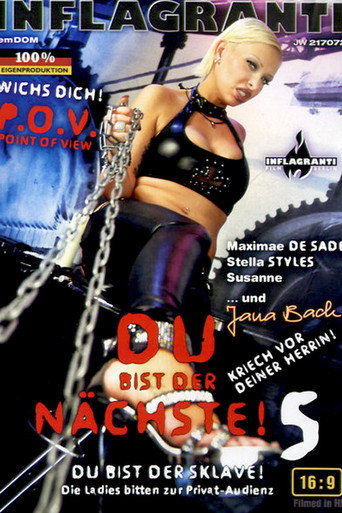 Movie poster for Du bist der Nächste! 5 (2011)