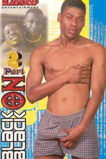 Movie poster for Black on Black 2 (2003)