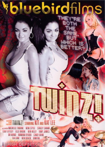 Movie poster for Twinz (2009)