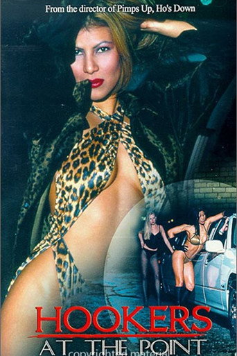 Movie poster for Hookers at the Point (1996)