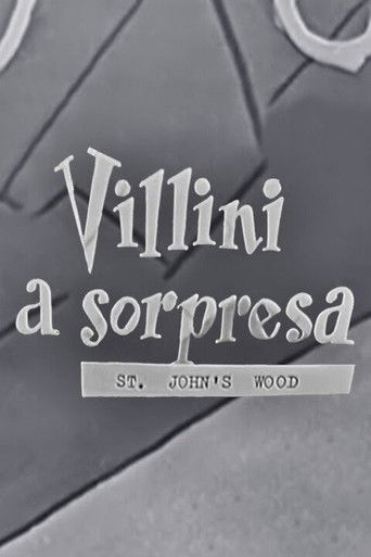 Villini a sorpresa poster