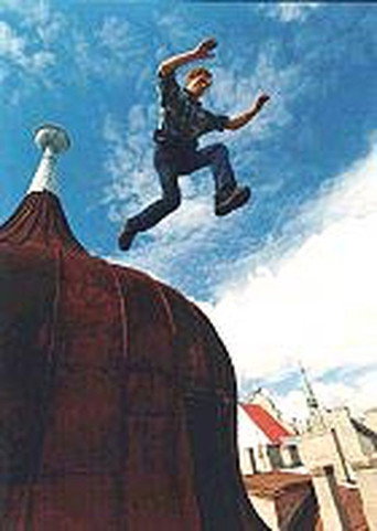 Movie poster for Roof Man (2003)