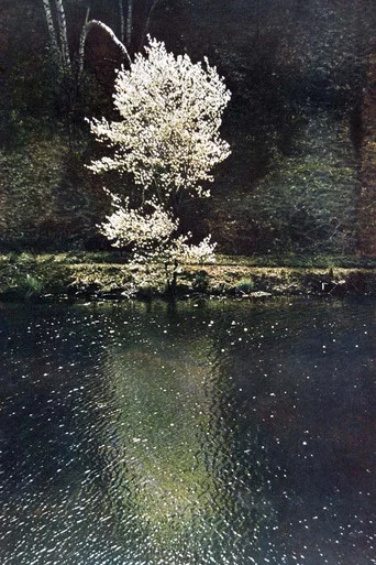 Movie poster for The Little Tree (1961)