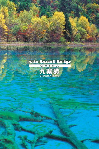 Movie poster for Virtual Trip JiuZhaiGou (2006)