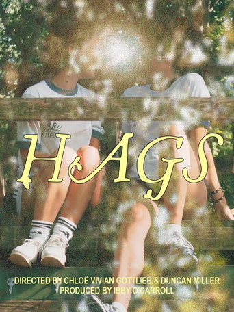 Movie poster for HAGS
