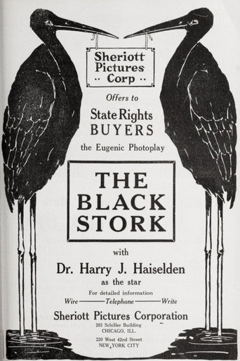 Movie poster for The Black Stork (1917)