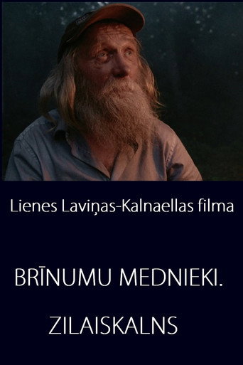 Movie poster for Miracle Hunters: Zilaiskalns (2018)