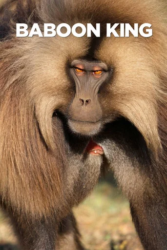 Movie poster for Baboon King (2017)