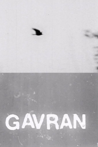 Movie poster for The Raven (1973)
