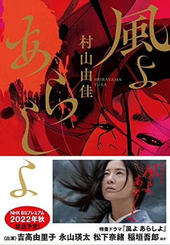 The Wind, The Storm poster