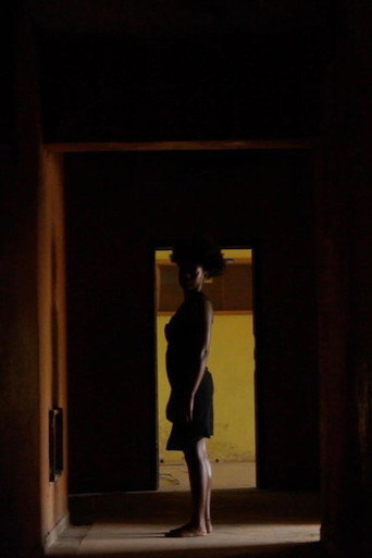 Movie poster for There Is No Light Inside the Mirror (2020)