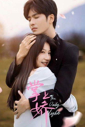 The Only Light poster