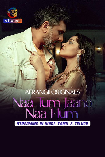 Series poster for Naa Tum Jaano Naa Hum (2025)