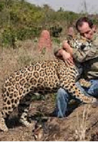 Movie poster for Jaguars, nés pour être libres (2012)
