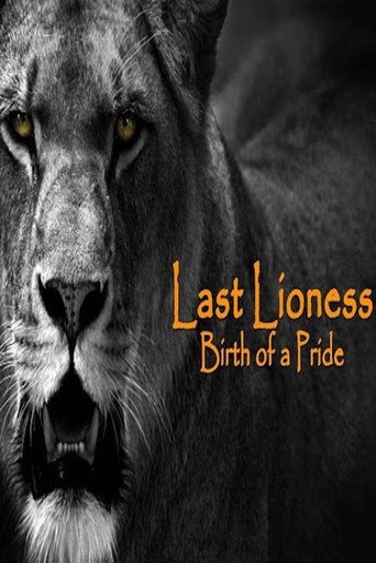 Movie poster for The Last Lioness: Birth of a Pride (2013)
