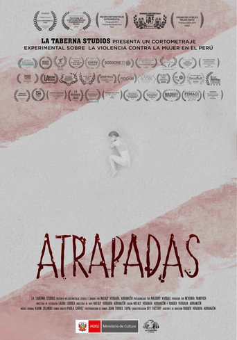Movie poster for Trapped woman (2019)