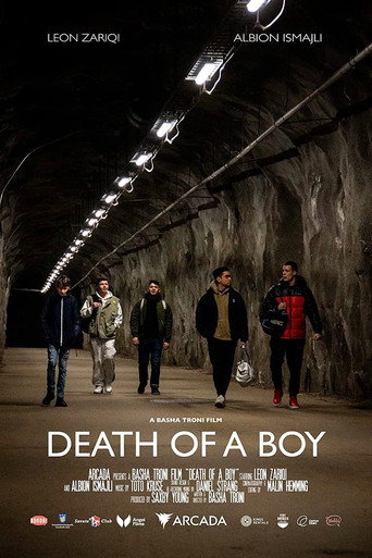Movie poster for Death of a Boy (2021)